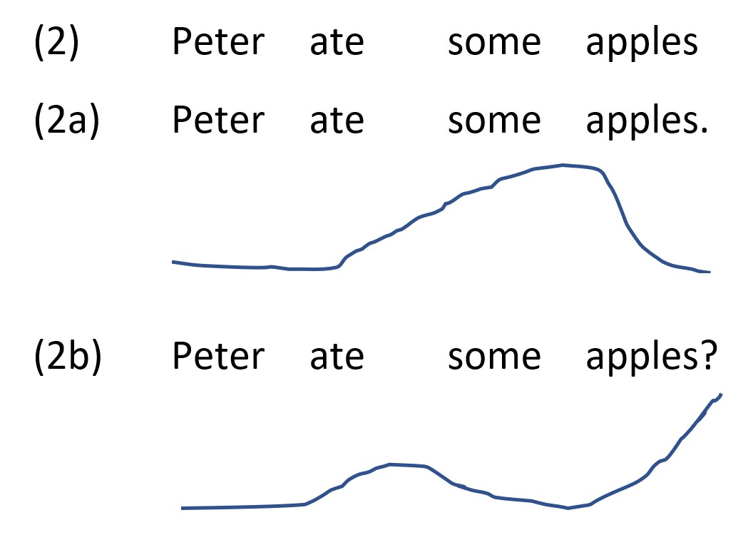 A linguistic example showing pitch contours of sentences